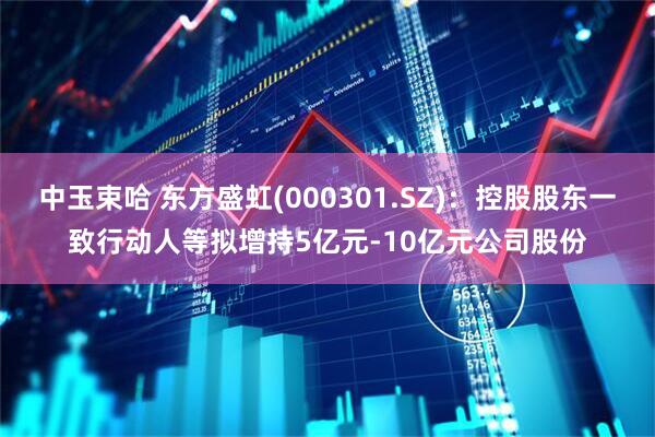 中玉束哈 东方盛虹(000301.SZ)：控股股东一致行动人等拟增持5亿元-10亿元公司股份