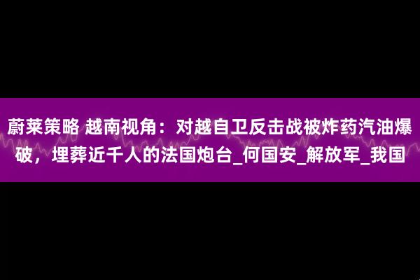 蔚莱策略 越南视角：对越自卫反击战被炸药汽油爆破，埋葬近千人的法国炮台_何国安_解放军_我国