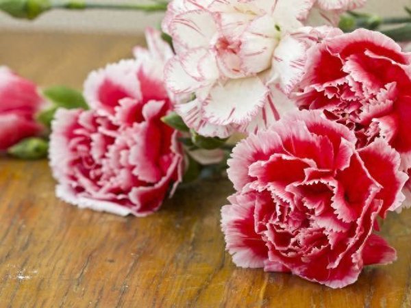 宝牛E配 人生后半程必看！这五种日常，助你逆袭下半场人生？